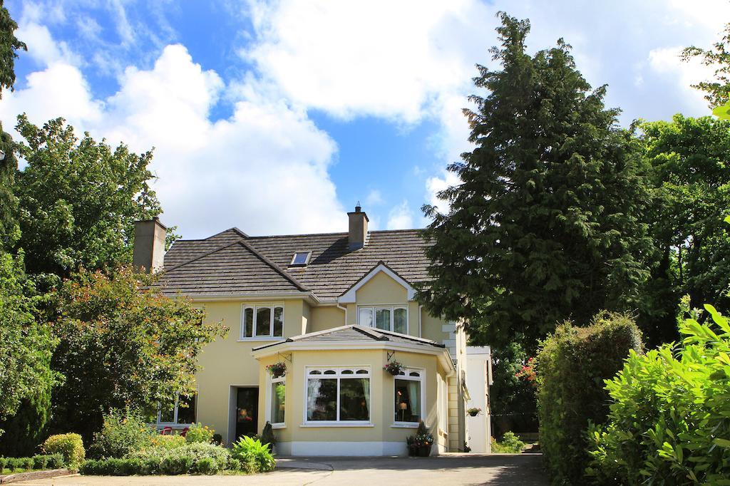 Hamill'S Bed And Breakfast Ballinamore Bagian luar foto